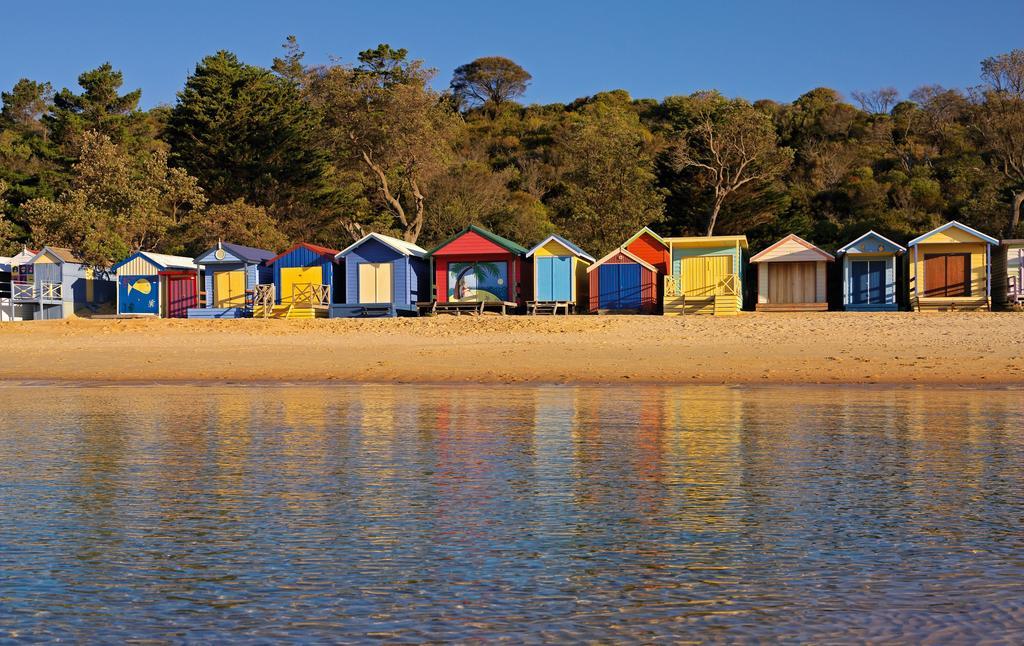 Bayplay Beach Cottage - Pet Friendly Queenscliff Zimmer foto
